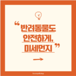 반려동물도 안전하게! 미세먼지 날 대처법